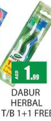 DABUR Toothbrush  in Zain Mart Supermarket in UAE - Ras al Khaimah