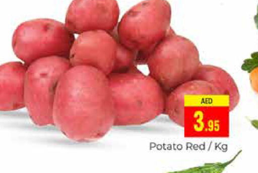  Potato  in مجموعة باسونس in الإمارات العربية المتحدة , الامارات - دبي