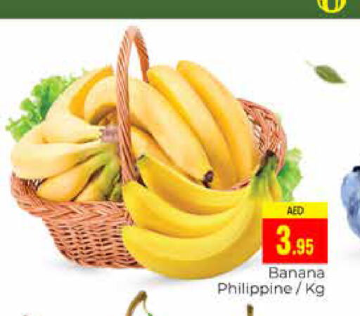  Banana  in PASONS GROUP in UAE - Dubai