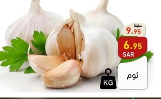  Garlic  in أسواق رامز in مملكة العربية السعودية, السعودية, سعودية - الرياض