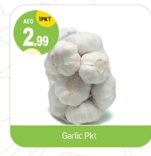  Garlic  in سوق طلال in الإمارات العربية المتحدة , الامارات - دبي