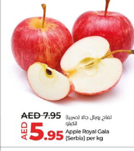  Apples  in Lulu Hypermarket in UAE - Al Ain