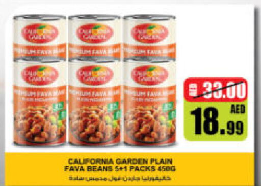 CALIFORNIA Fava Beans  in Al Madina Hypermarket in UAE - Abu Dhabi