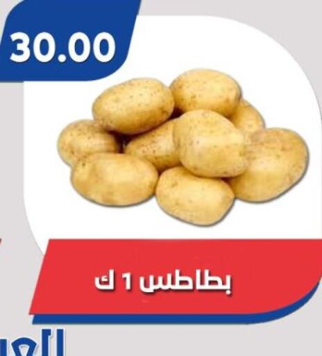  Potato  in Bassem Market in Egypt - Cairo