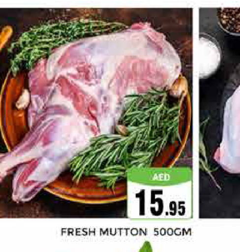  Mutton / Lamb  in PASONS GROUP in UAE - Dubai