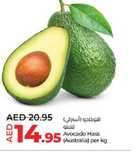  Avacado  in لولو هايبرماركت in الإمارات العربية المتحدة , الامارات - أبو ظبي