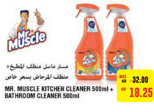 MR. MUSCLE منظف المرحاض / البالوعة  in ايـــرث سوبرماركت in الإمارات العربية المتحدة , الامارات - أبو ظبي