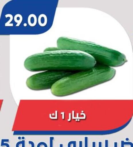  Cucumber  in Bassem Market in Egypt - Cairo