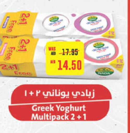  Greek Yoghurt  in Abu Dhabi COOP in UAE - Abu Dhabi