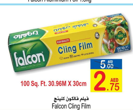 FALCON   in Sun and Sand Hypermarket in UAE - Ras al Khaimah