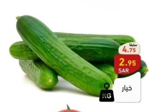  Cucumber  in أسواق رامز in مملكة العربية السعودية, السعودية, سعودية - المنطقة الشرقية