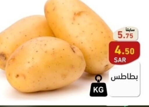  Potato  in أسواق رامز in مملكة العربية السعودية, السعودية, سعودية - الأحساء‎