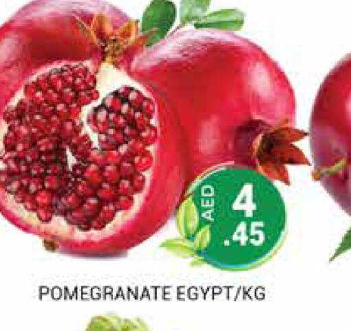  Pomegranate  in مجموعة باسونس in الإمارات العربية المتحدة , الامارات - دبي