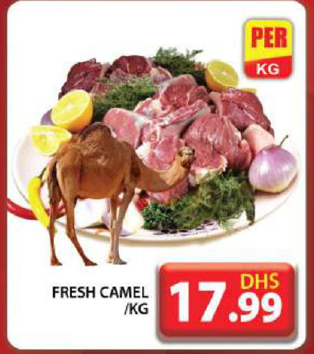  Camel meat  in Grand Hyper Market in UAE - Dubai