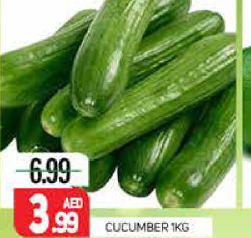  Cucumber  in مركز النخيل هايبرماركت in الإمارات العربية المتحدة , الامارات - الشارقة / عجمان