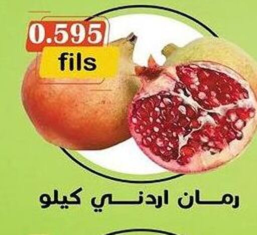  Pomegranate  in khitancoop in Kuwait - Jahra Governorate