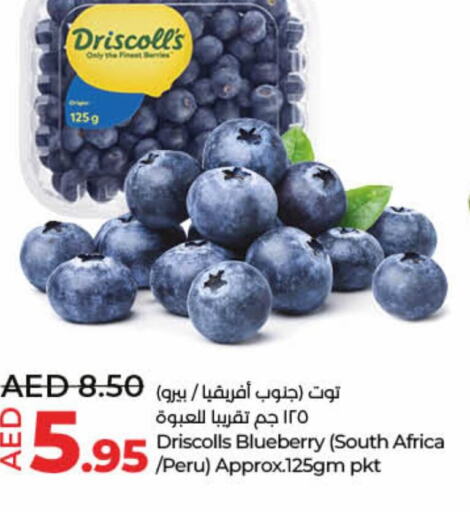  Berries  in لولو هايبرماركت in الإمارات العربية المتحدة , الامارات - أم القيوين‎