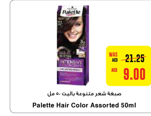 PALETTE صبغة شعر  in ايـــرث سوبرماركت in الإمارات العربية المتحدة , الامارات - أبو ظبي