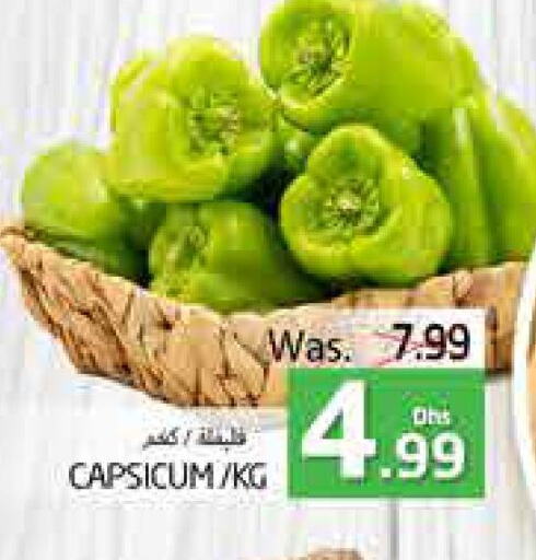  Chilli / Capsicum  in PASONS GROUP in UAE - Al Ain