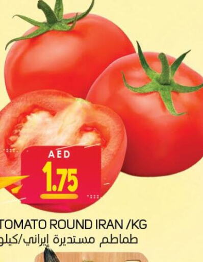  Tomato  in سوق المبارك هايبرماركت in الإمارات العربية المتحدة , الامارات - الشارقة / عجمان