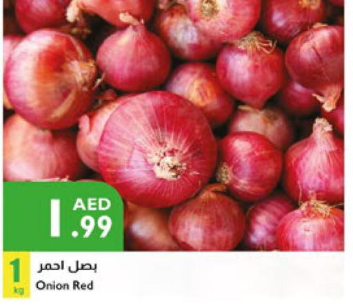  Onion  in إسطنبول سوبرماركت in الإمارات العربية المتحدة , الامارات - الشارقة / عجمان