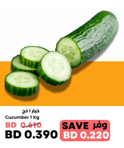  Cucumber  in رويان ماركت in البحرين