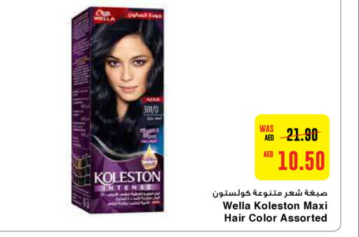 WELLA Hair Colour  in Earth Supermarket in UAE - Dubai