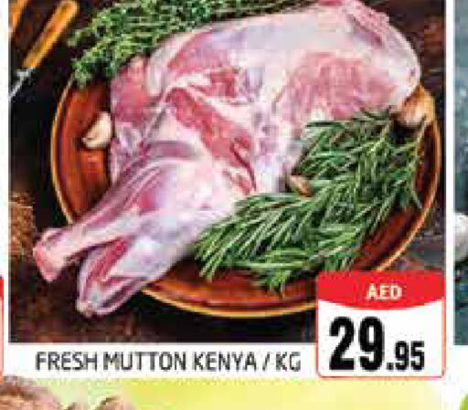  Mutton / Lamb  in PASONS GROUP in UAE - Dubai