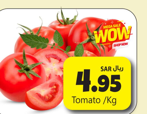  Tomato  in We One Shopping Center in KSA, Saudi Arabia, Saudi - Dammam