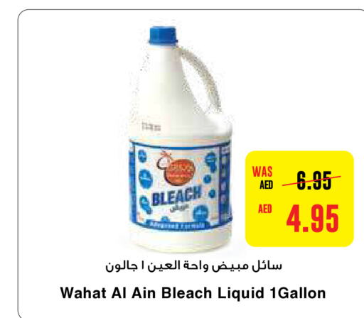  Bleach  in Earth Supermarket in UAE - Al Ain