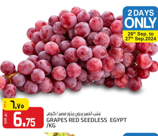  Grapes  in السعودية in قطر - الضعاين