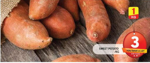  Sweet Potato  in جراند هايبر ماركت in الإمارات العربية المتحدة , الامارات - الشارقة / عجمان