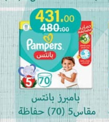 Pampers   in محمود الفار in Egypt - القاهرة