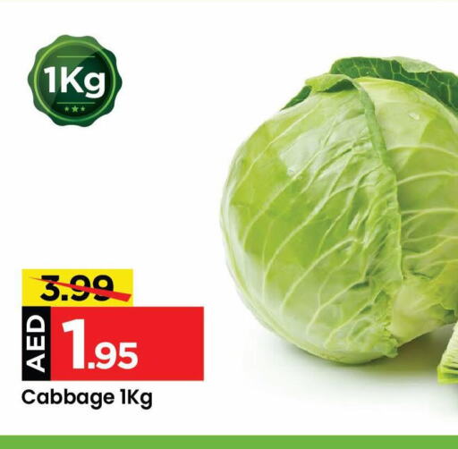  Cabbage  in مارك & سيف in الإمارات العربية المتحدة , الامارات - الشارقة / عجمان