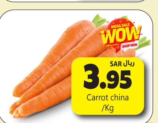  Carrot  in مركز التسوق نحن واحد in مملكة العربية السعودية, السعودية, سعودية - المنطقة الشرقية