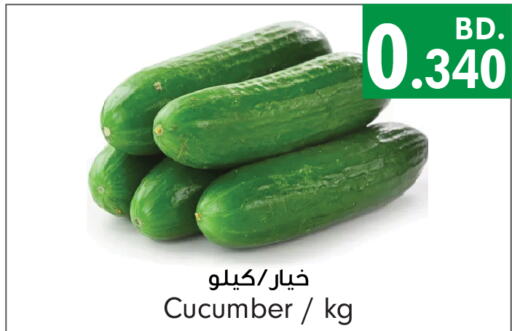  Cucumber  in بحرين برايد in البحرين