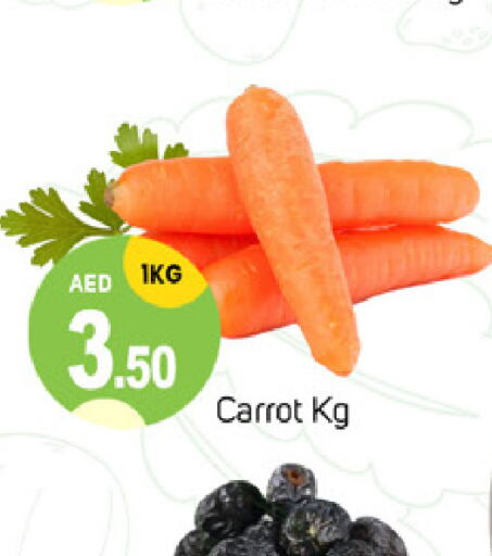  Carrot  in سوق طلال in الإمارات العربية المتحدة , الامارات - دبي