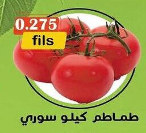  Tomato  in khitancoop in Kuwait - Ahmadi Governorate