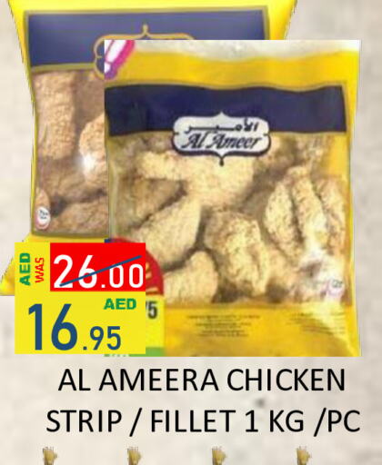  Chicken Strips  in ROYAL GULF HYPERMARKET LLC in UAE - Abu Dhabi