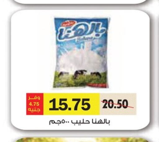  Milk Powder  in Royal House in Egypt - Cairo