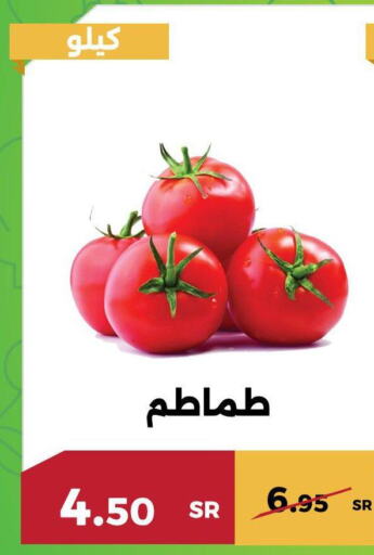  Tomato  in Forat Garden in KSA, Saudi Arabia, Saudi - Mecca