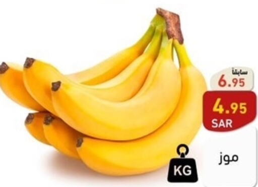  Banana  in أسواق رامز in مملكة العربية السعودية, السعودية, سعودية - الأحساء‎