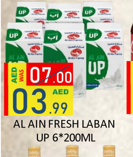 AL AIN Laban  in ROYAL GULF HYPERMARKET LLC in UAE - Abu Dhabi