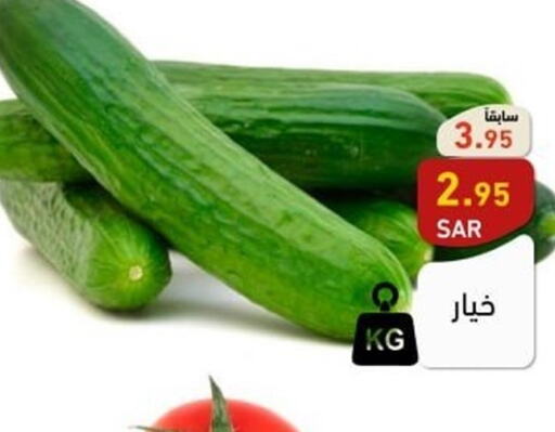  Cucumber  in أسواق رامز in مملكة العربية السعودية, السعودية, سعودية - الرياض