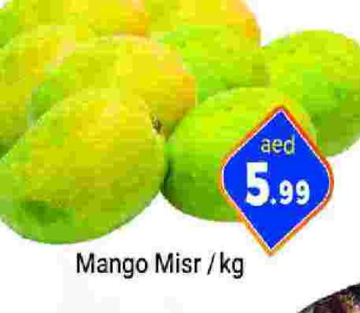 Mango Mango  in سوق المبارك هايبرماركت in الإمارات العربية المتحدة , الامارات - الشارقة / عجمان