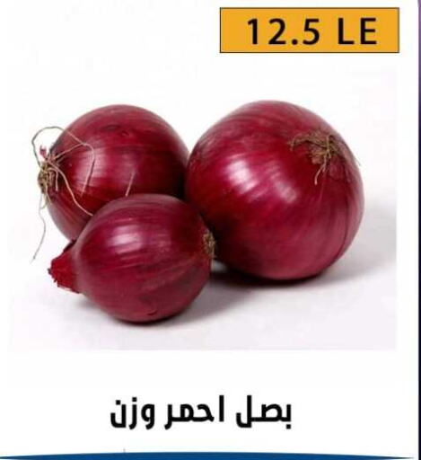  Onion  in بن سليمان in Egypt - القاهرة