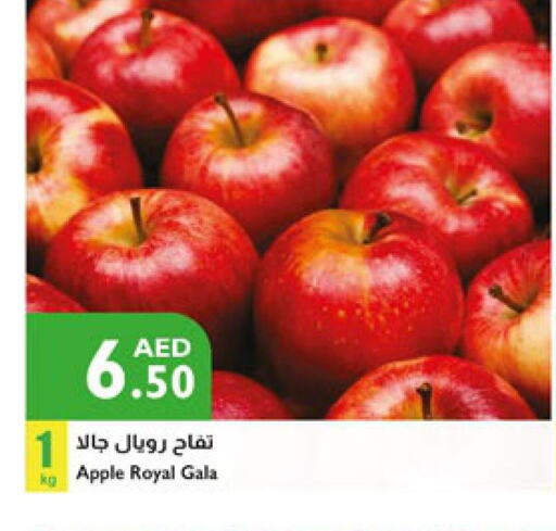  Apples  in إسطنبول سوبرماركت in الإمارات العربية المتحدة , الامارات - رَأْس ٱلْخَيْمَة