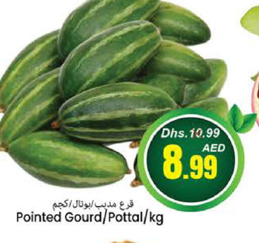  Gourd  in PASONS GROUP in UAE - Fujairah