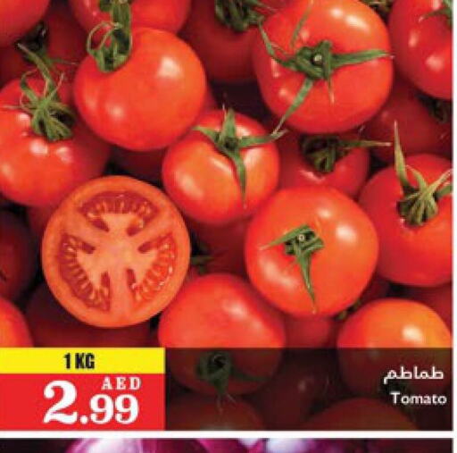  Tomato  in تروليز سوبرماركت in الإمارات العربية المتحدة , الامارات - الشارقة / عجمان