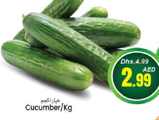  Cucumber  in PASONS GROUP in UAE - Fujairah